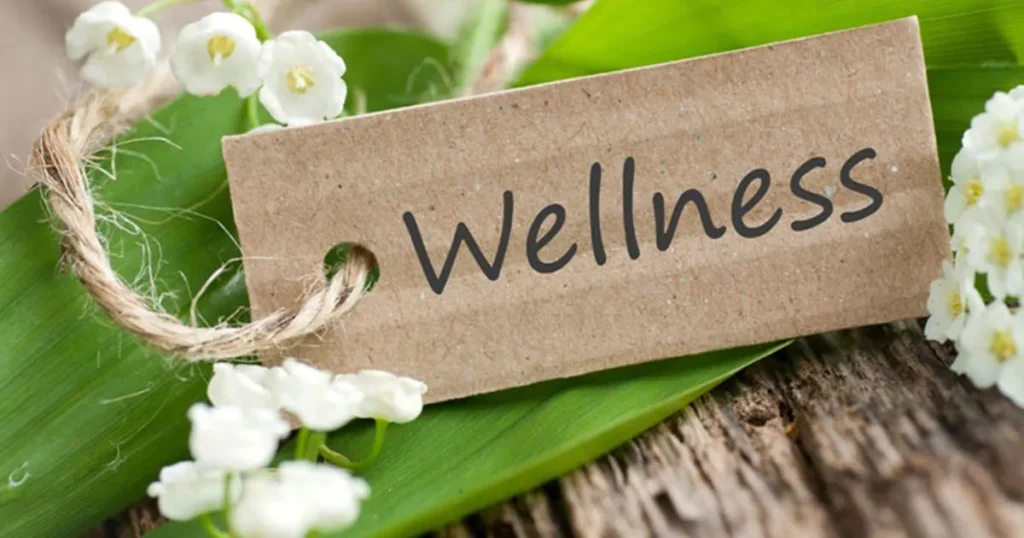 What is meant by Wellness Technology?