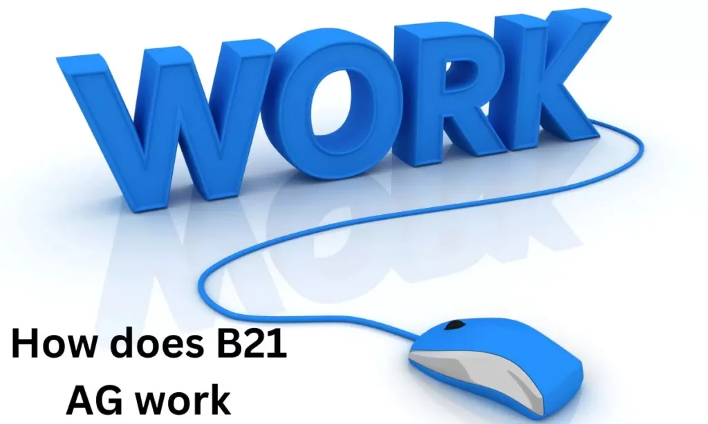 How does B21 AG work?