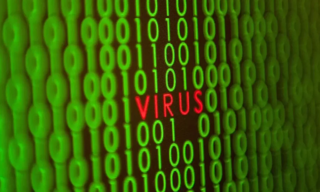 How Webcord Virus Attacks?